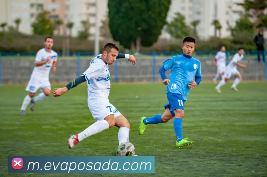 企业概况